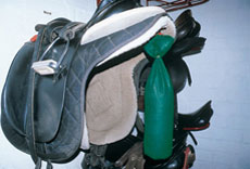 Reitsport und Sattelkammer