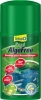 TetraPond AlgoFree