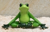 Yoga Frosch